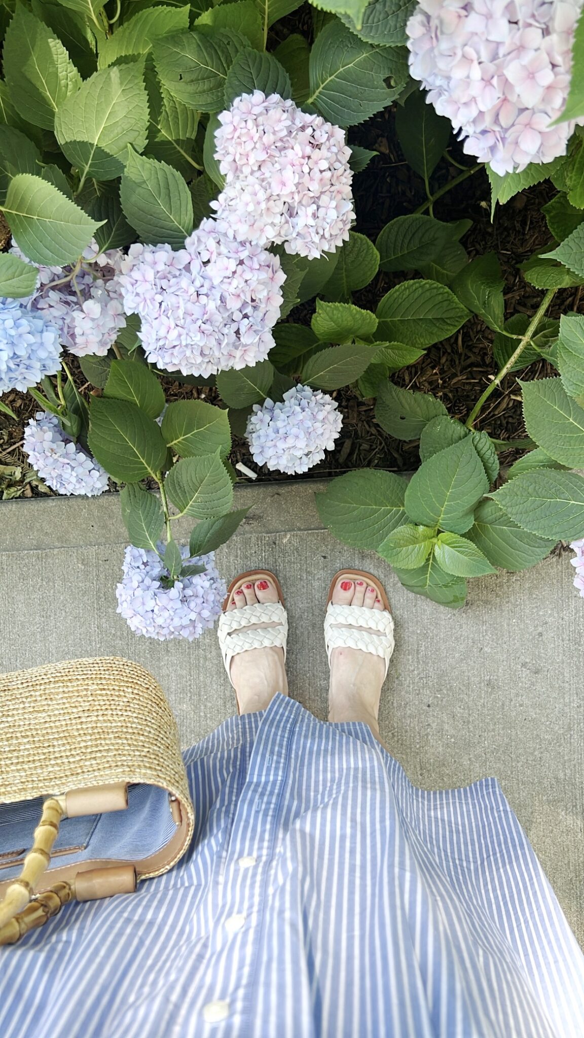 Friday’s Simply Smitten