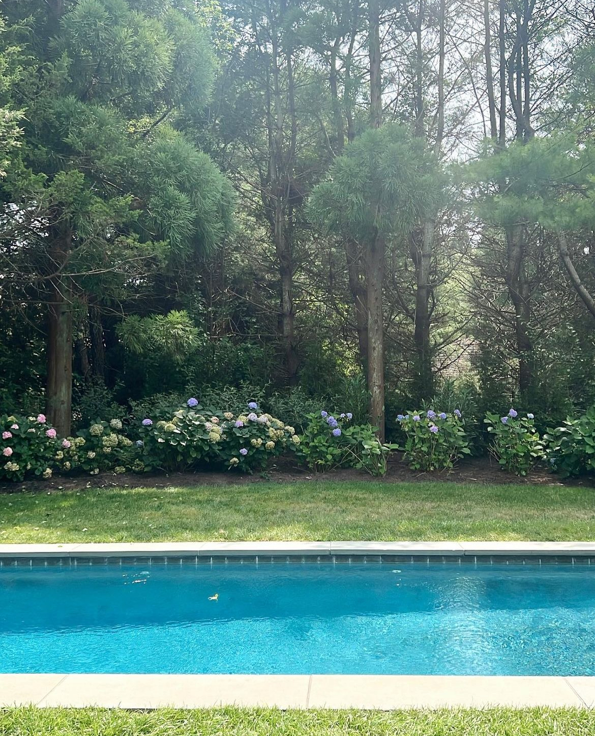 Friday’s Simply Smitten