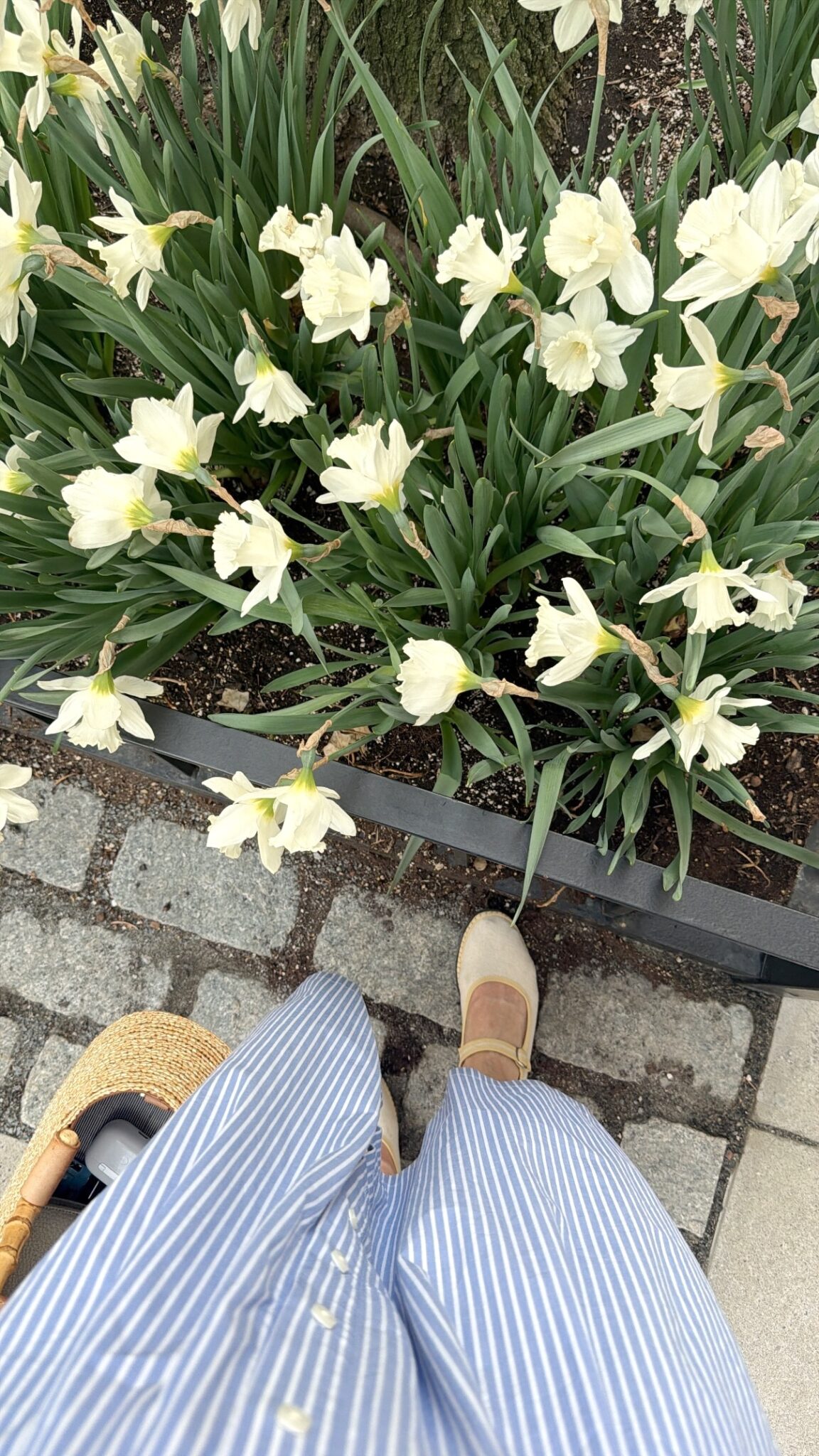 Friday’s Simply Smitten