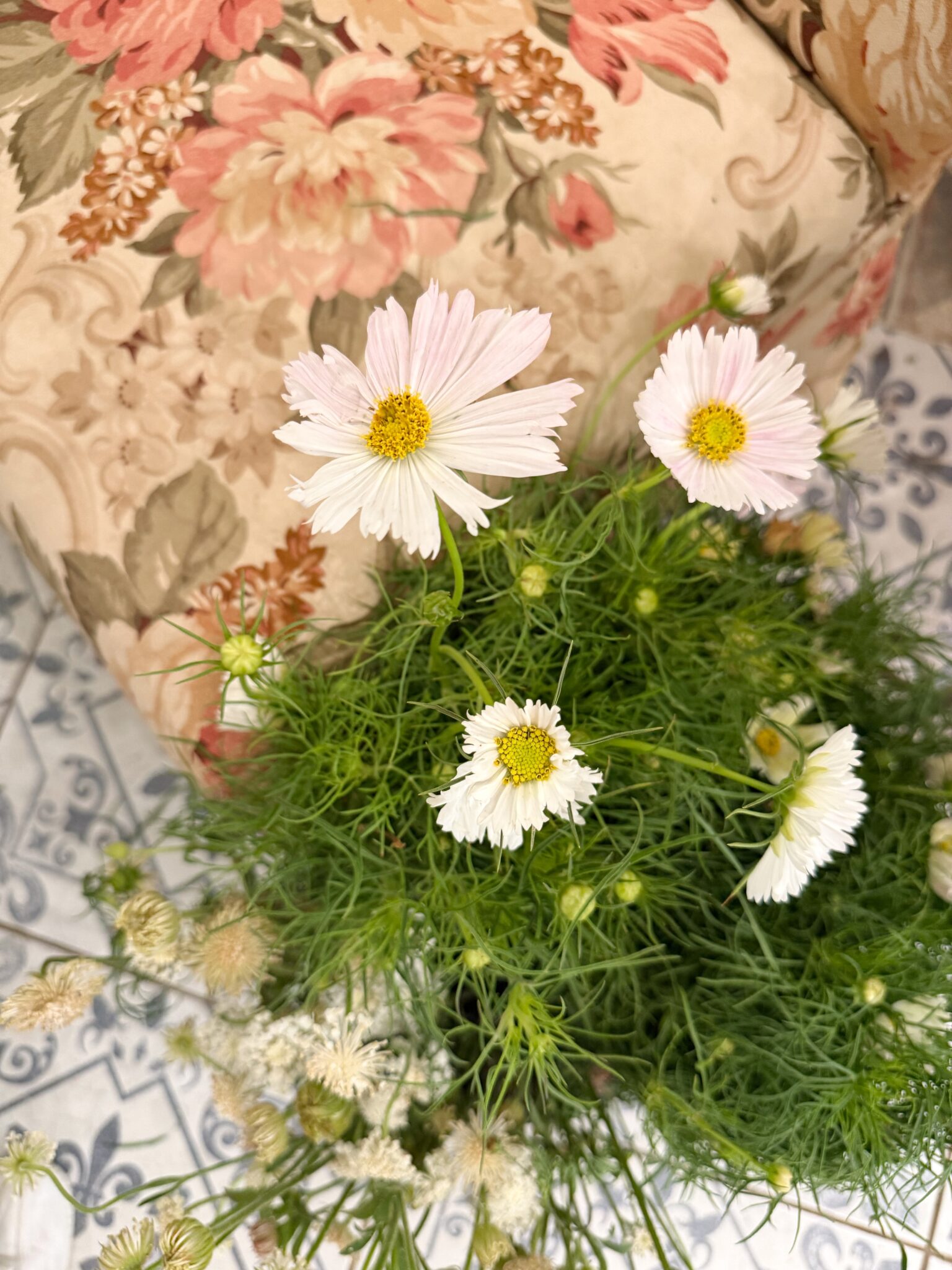 Friday’s Simply Smitten