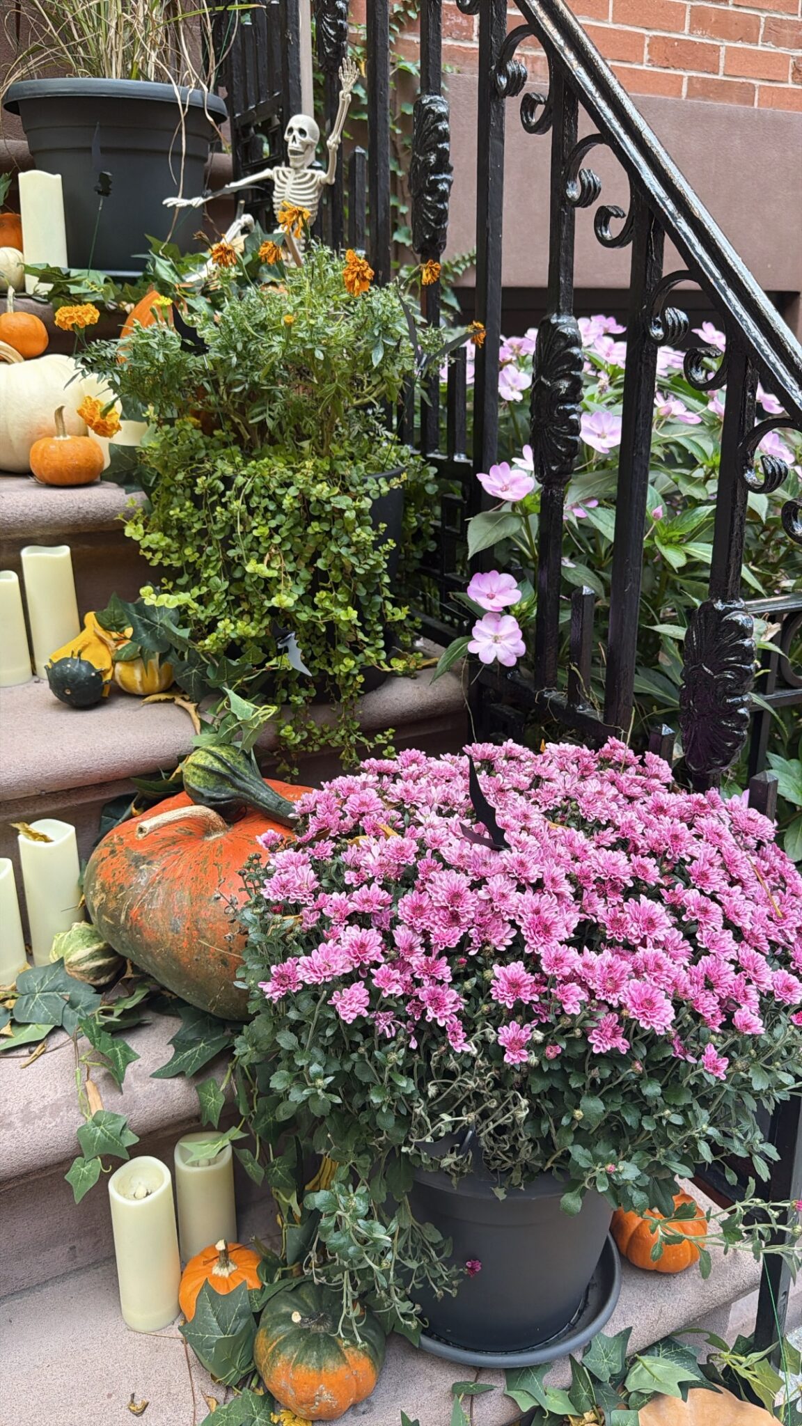 Friday’s Simply Smitten